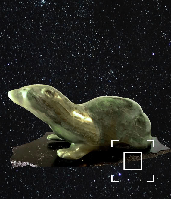 Der Fischotter, ein Marder